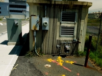 shed